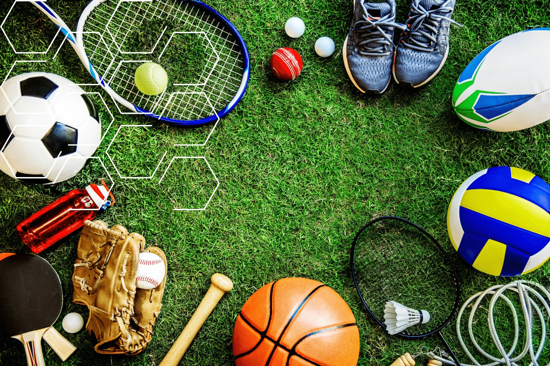 Maestría y Doctorado en Pedagogía de la Educación Física (Modalidad sincrónica)